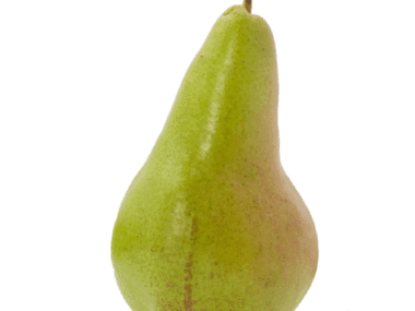 PEARS Concorde