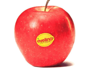 APPLES RoHo Evelina